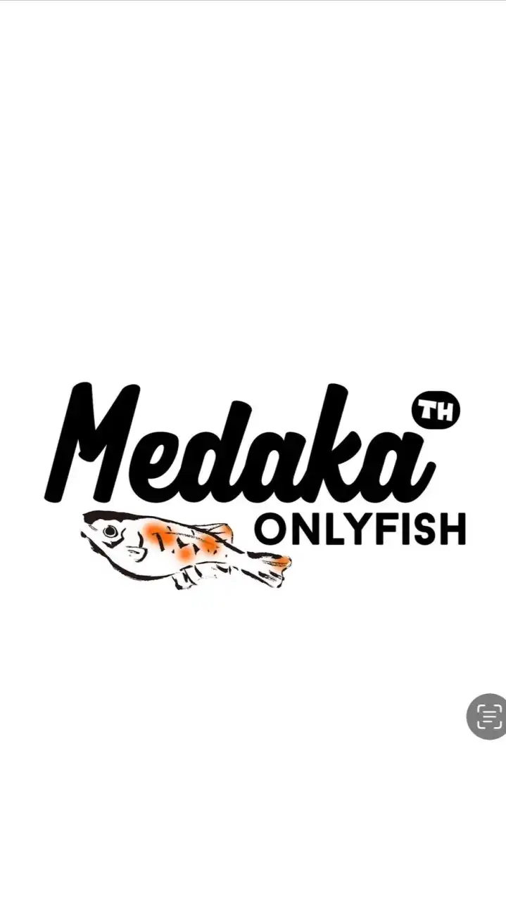 Medaka Onlyfish