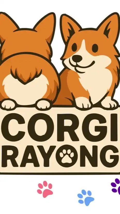 Corgi Rayong