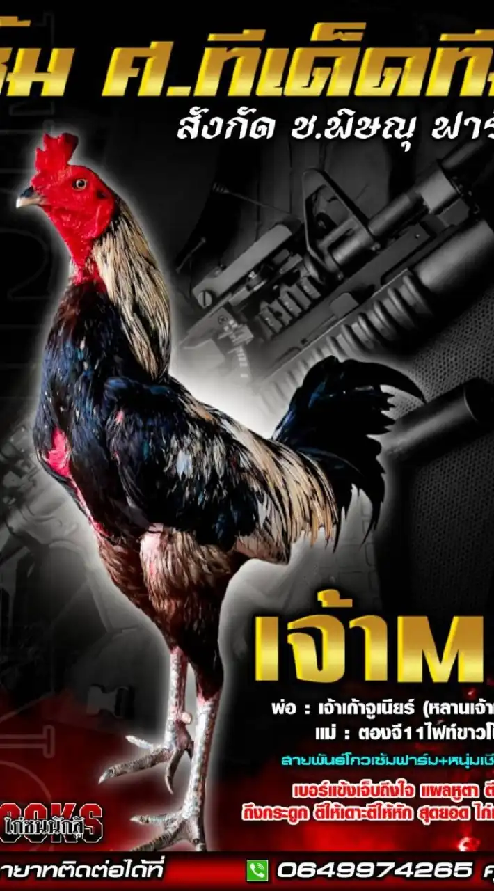 ซุ้ม ศ.ทีเด็ด สังกัด ช.พิษณุฟาร์ม🐓
