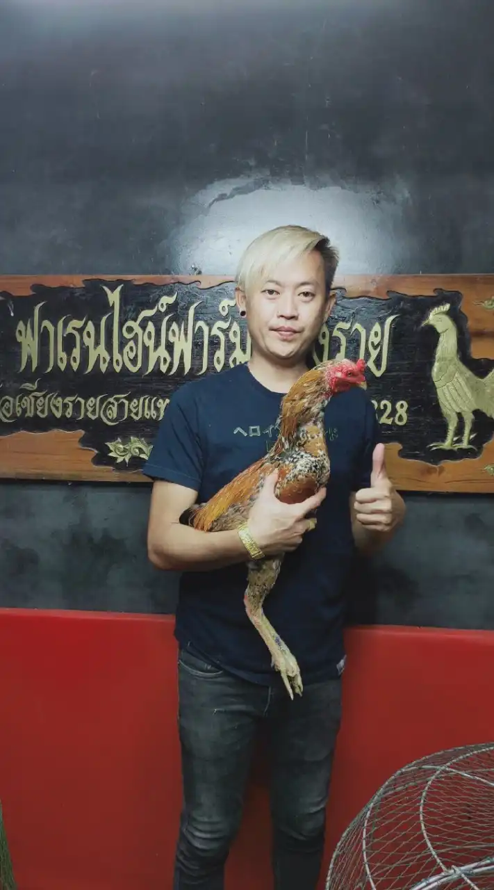 โอเชียงรายสายแทง ซุ้มฟาเรนไฮน์ฟาร์มเชียงราย