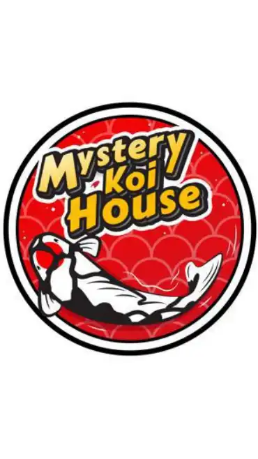 Mystery Koi House