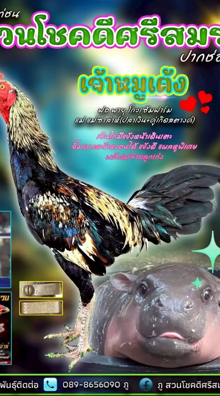 สวนโชคดีศรีสมร(ไก่ในดง) by ภู สู้จริงร้ายมาก