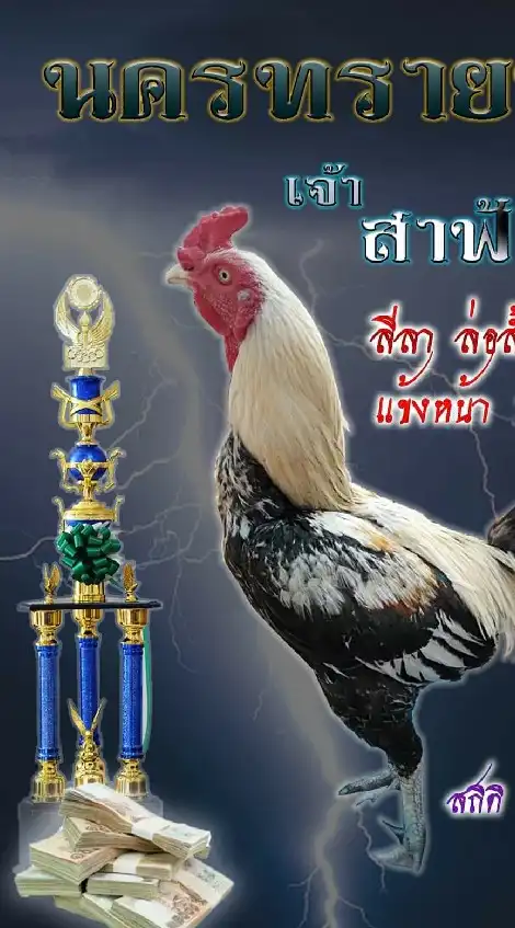 โบ้ นครทรายฟาร์ม