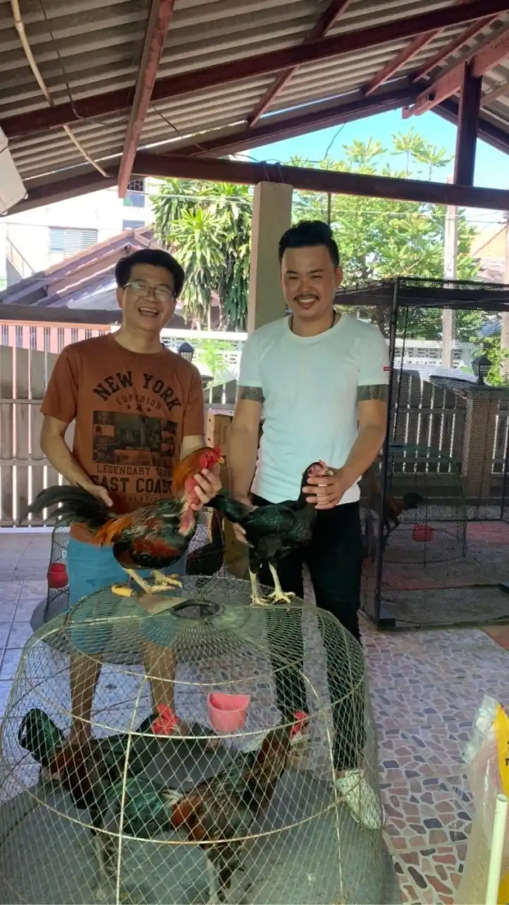 ส.สามเซียน