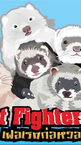 เฟอเรทก่อหวอด - Ferret Fighters TH