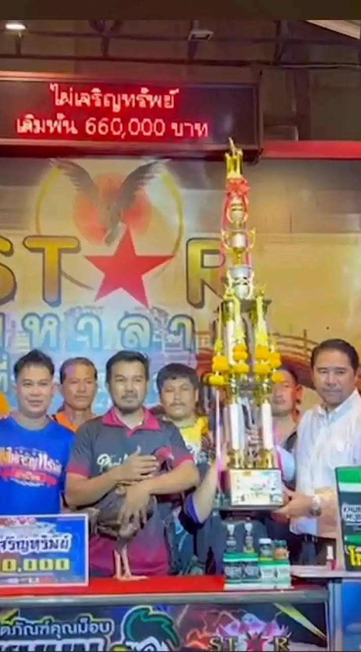 สวนโชคดีศรีสมร(ไก่ในดง) by ภู สู้จริงร้ายมาก