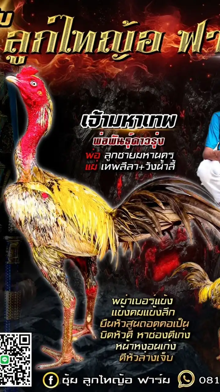 ซุ้ม ลูกไทญ้อ ฟาร์ม (อุดรธานี)🇹🇭🐓💚