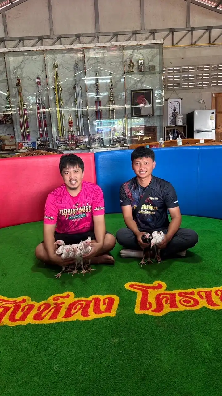 ว.วิจิตร แหล่งเพาะพันธุ์และพัฒนาไก่ชน