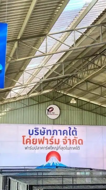ฟาร์มปลาคาร์ฟหาดใหญ่
