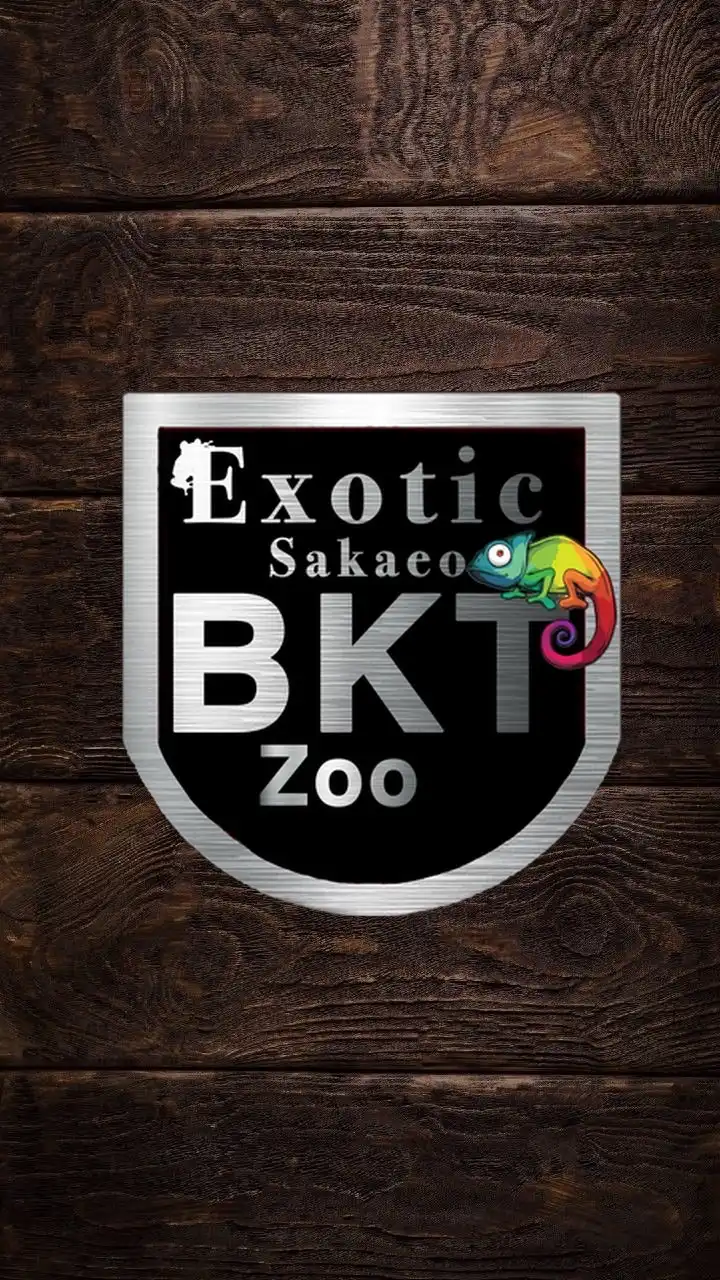 🦎Sakaeo Exotic BKT🇹🇭 ซื้อ-ขาย สัตว์เลี้ยง สัตว์แปลก