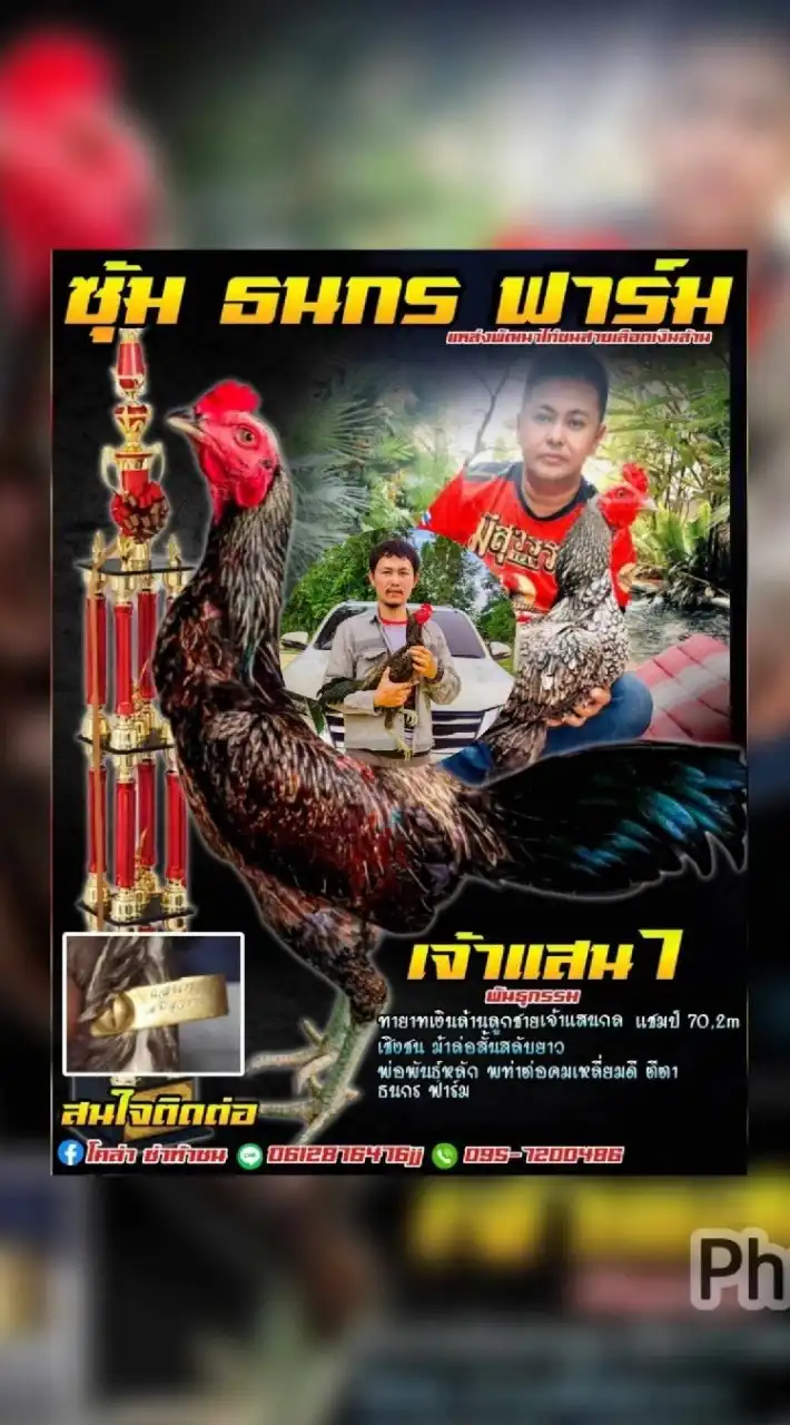 ธนกร​  ฟาร์ม​ 🐓🇹🇭