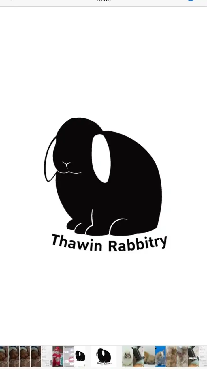 Rabbitry and friends by Thawin 🐰