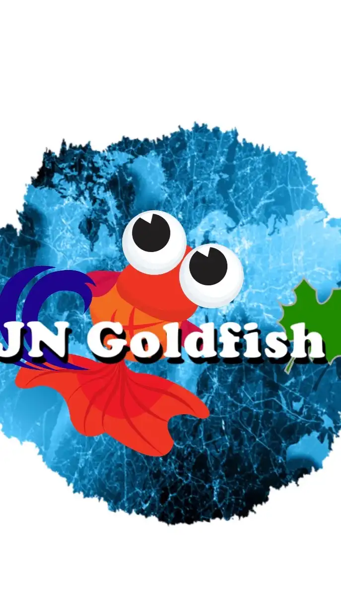 ประมูลปลาทองเกรดสวย JN Gold fish