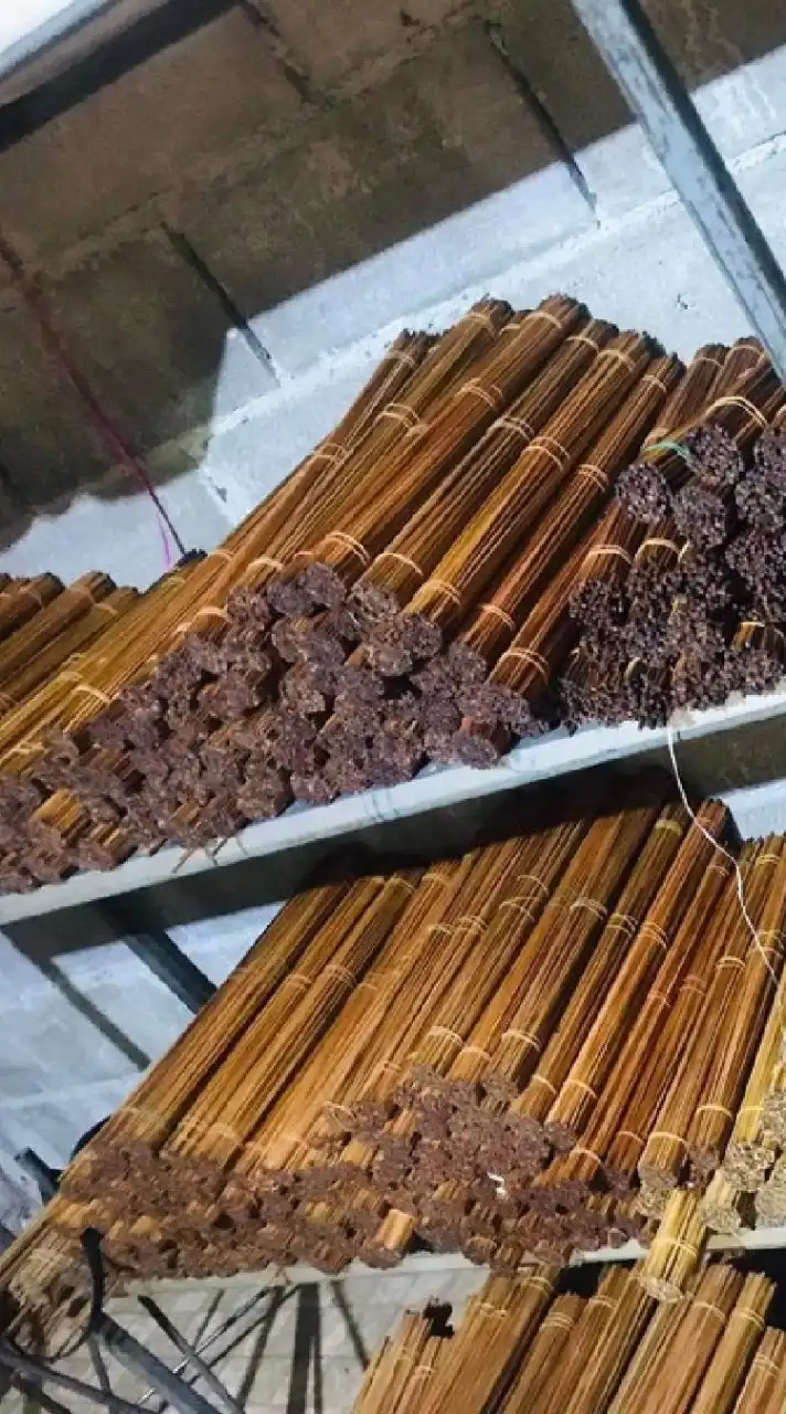 ซี่กรงนก