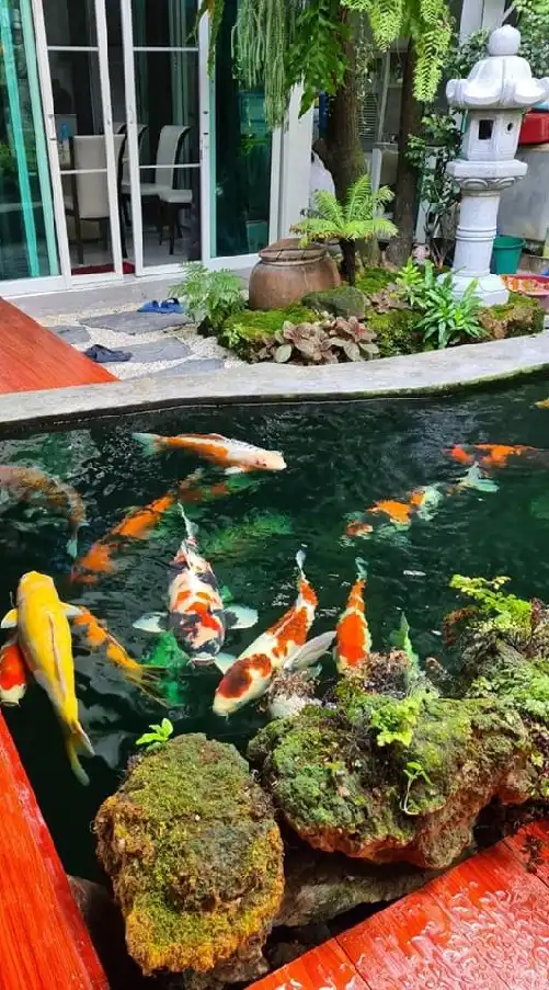 Million KOI House