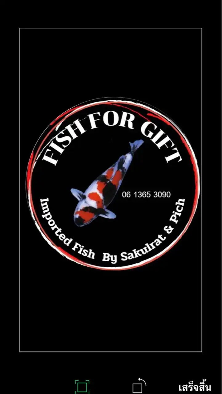 FISH FOR GIFT