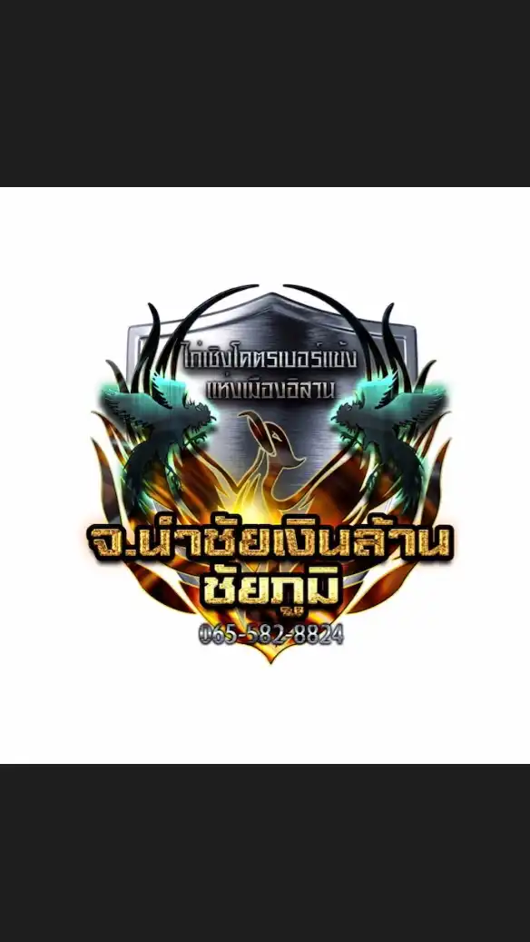 จ.นำชัยเงินล้าน ก๋อยตราด ชัยภูมิ ไก่เชิงโครตเบอร์แข้งแห่งอิสาน