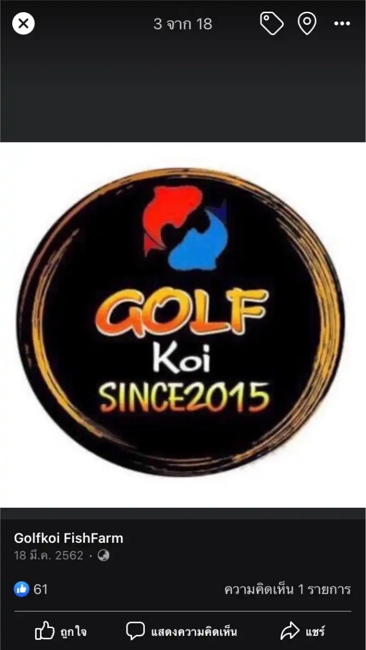 GKFF_PREMIUM HQ And CERTIFICATE_VVIP room
