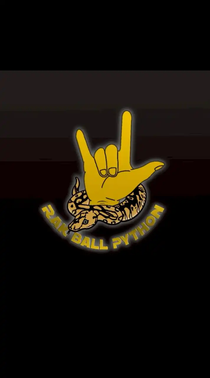 Rak Ball Python