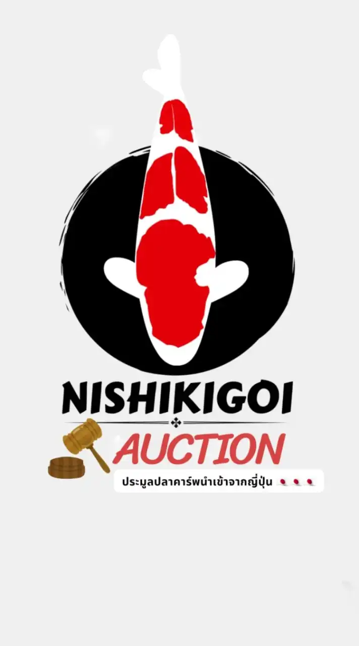 Nishikigoi ปลาคาร์พนำเข้าญี่ปุ่น