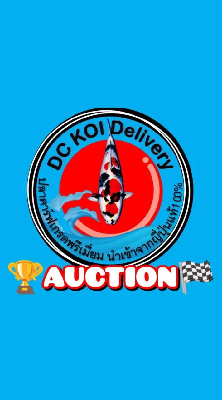 ⛩️DC KOI Auction🇯🇵🏆