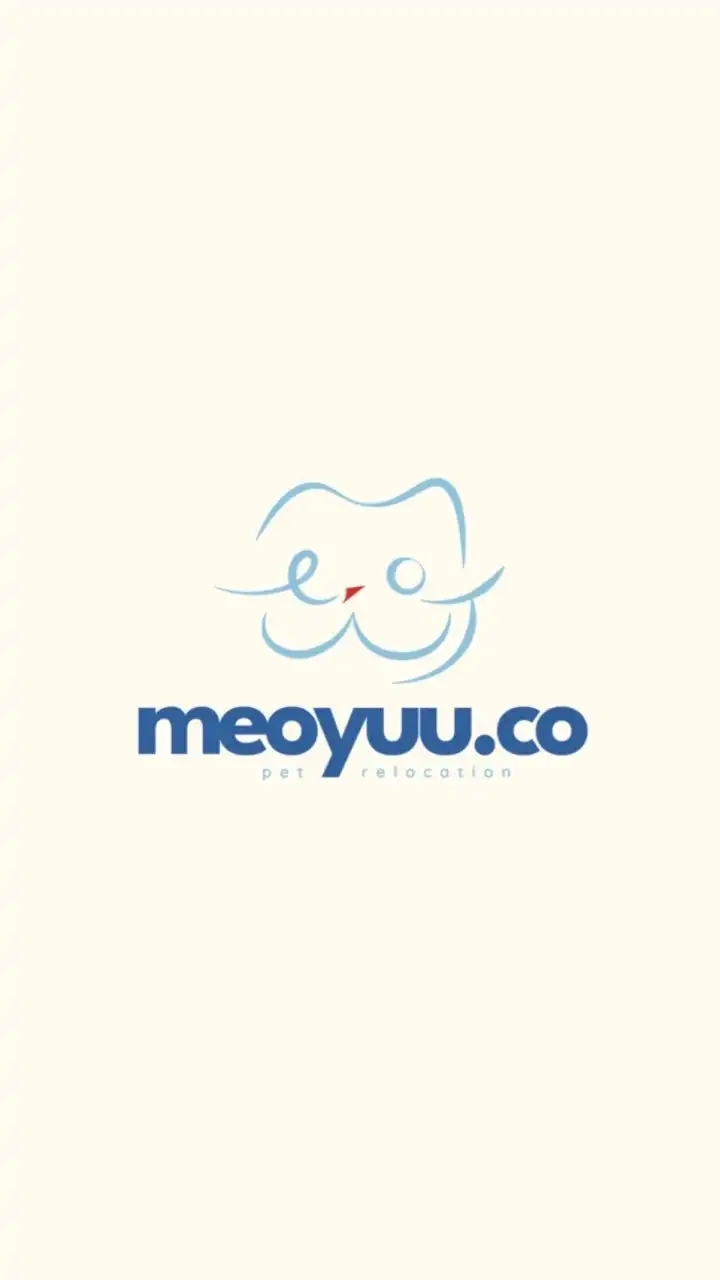 Meoyuu.co : แมวนำเข้าต่างประเทศ