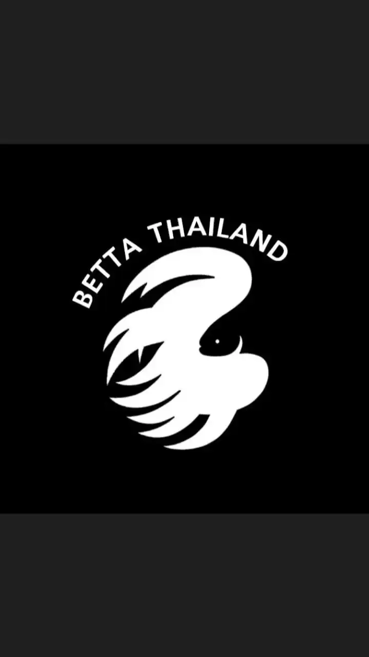 Betta Thailand (ปลากัดไทย) ซื้อ ขาย ประมูล