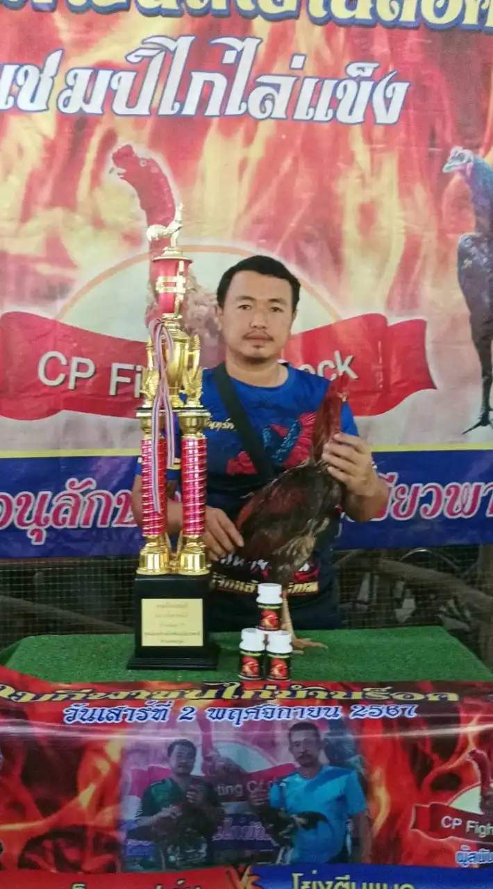 ซุ้มเด็กดงฟาร์ม พม่าแข้งหน้า อุตรดิตถ์