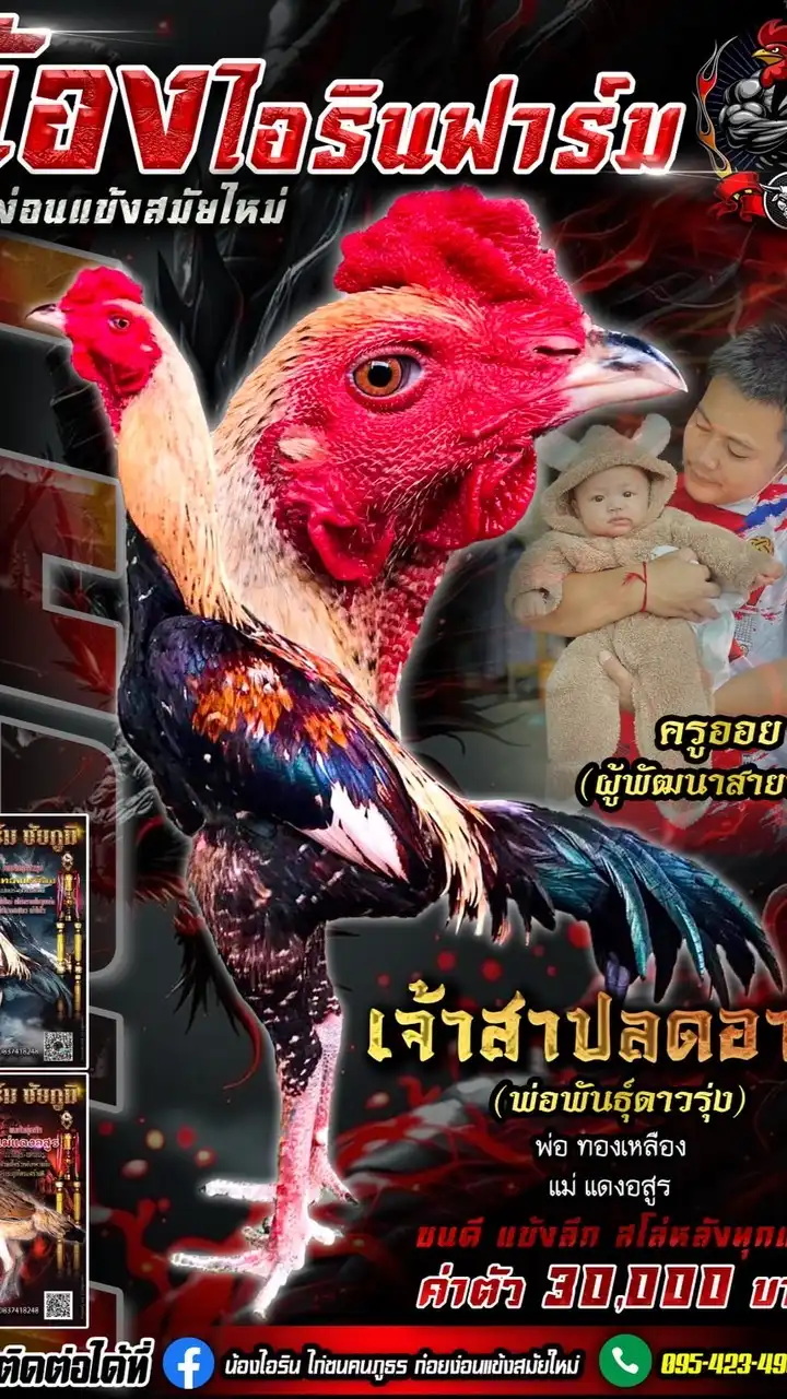 น้องไอริน ก๋อยง่อนแข้งสมัยใหม่