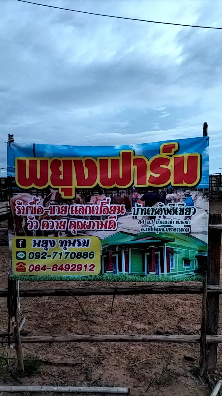 พยุงฟาร์ม_บ้านเขียว