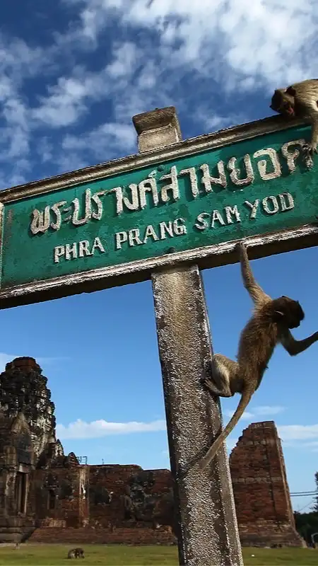 แผนพัฒนาท้องถิ่น จังหวัดลพบุรี