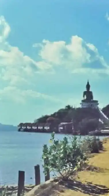 Samui news