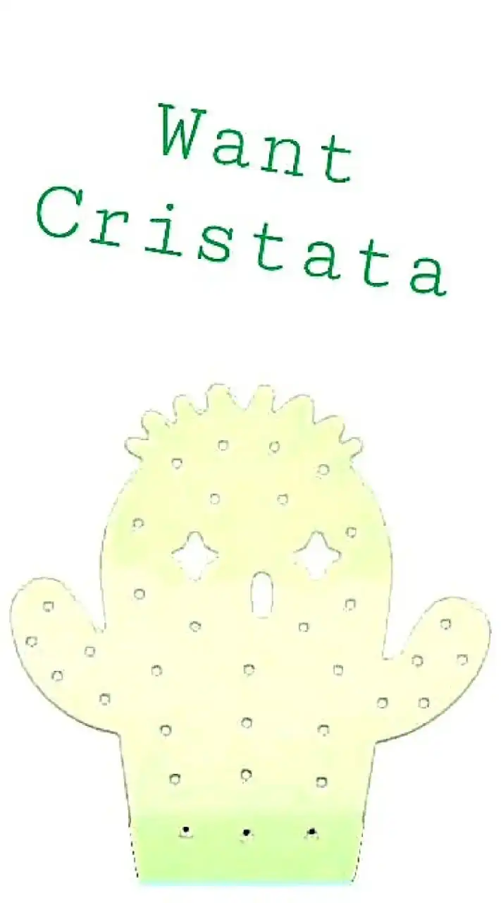 WANT CACTUS WANT CRISTATA        ว้อนn์แคคตัส คริสตาต้า