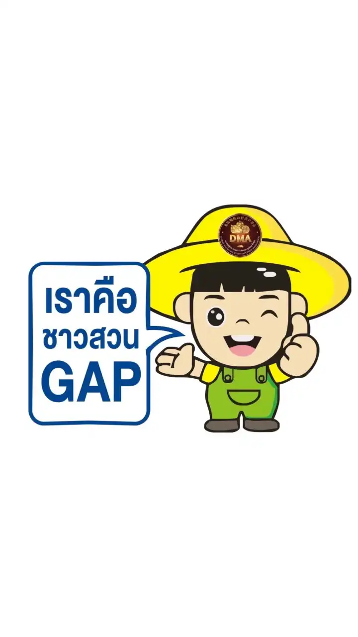 We GAP