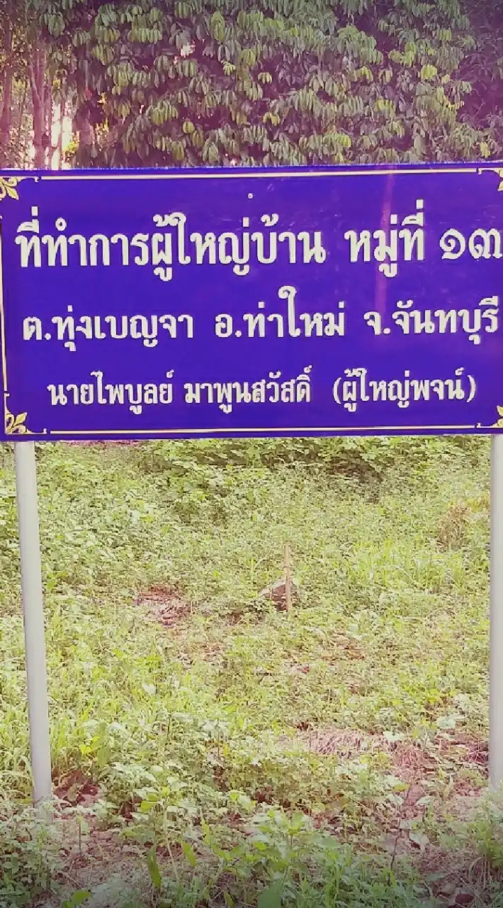 ข่าวสารผู้ใหญ่พจน์