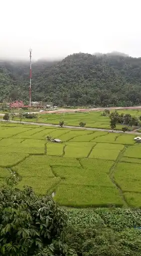 กลุ่มกล่อง ศก.แพร่1 แพร่3 แพร่4