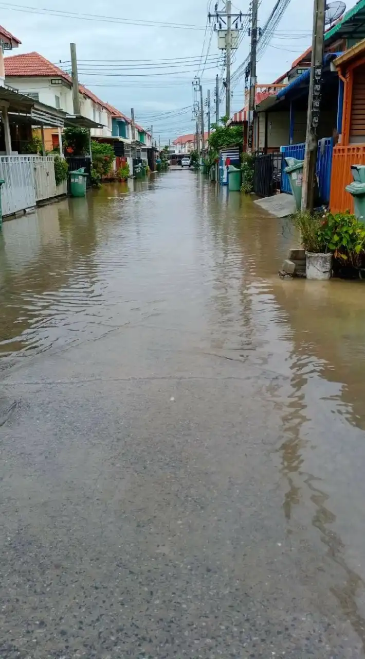 นิติเฟรส.3 ชายคลอง