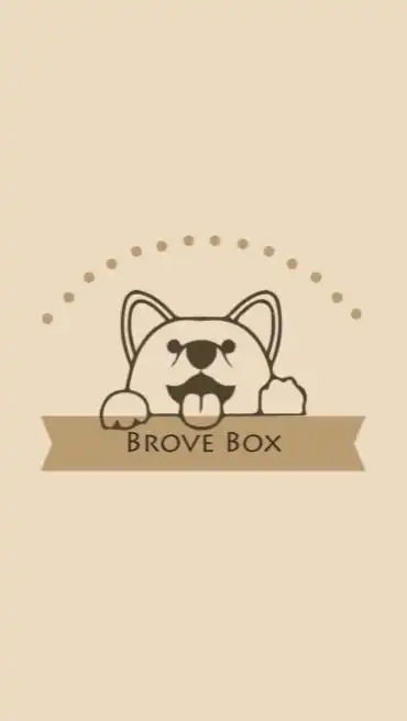 BRAVE BOX 🛍🛍