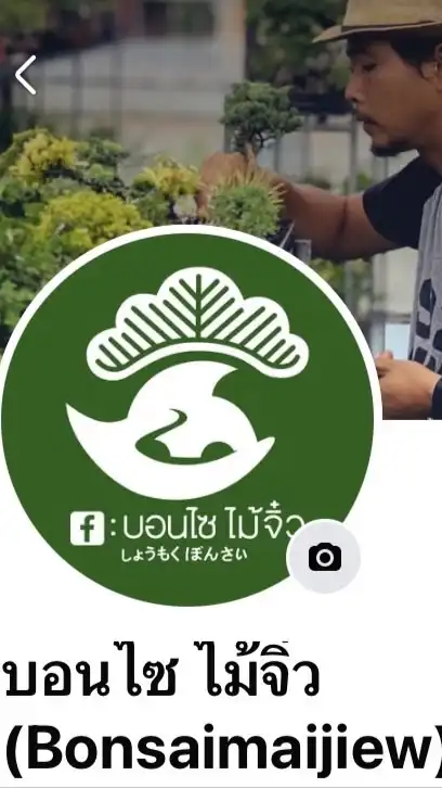 บอนไซไม้จิ๋ว
