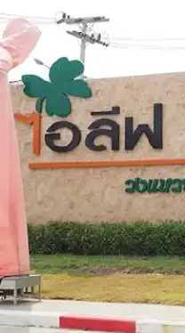 กลุ่มขาย ไอลีฟ คลองสี่ กลุ่มใหม่