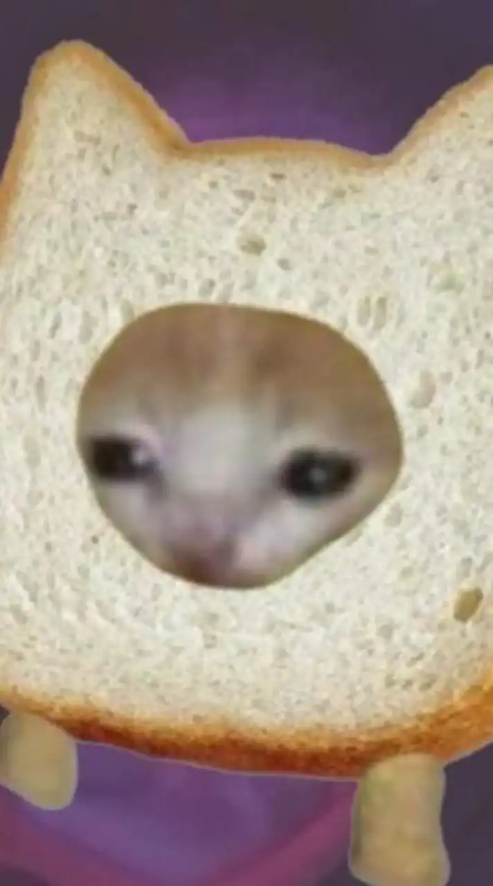 กลุ่มลิ้ง by BANK 🐈‍⬛