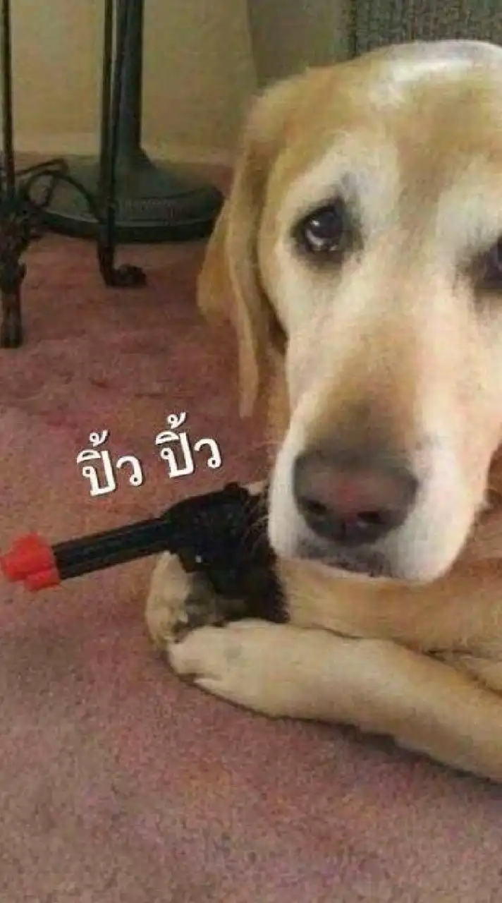เเจกรูป/คริป Rov ทำโทน!