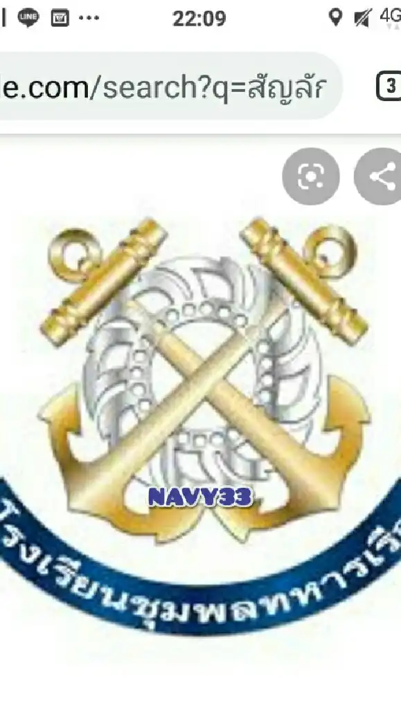 NAVY 33