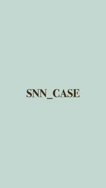 SNN_CASE UPDATE🌻