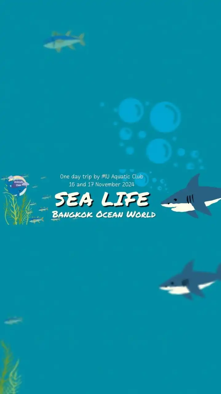 SEA LIFE aquarium sat 16/11/67