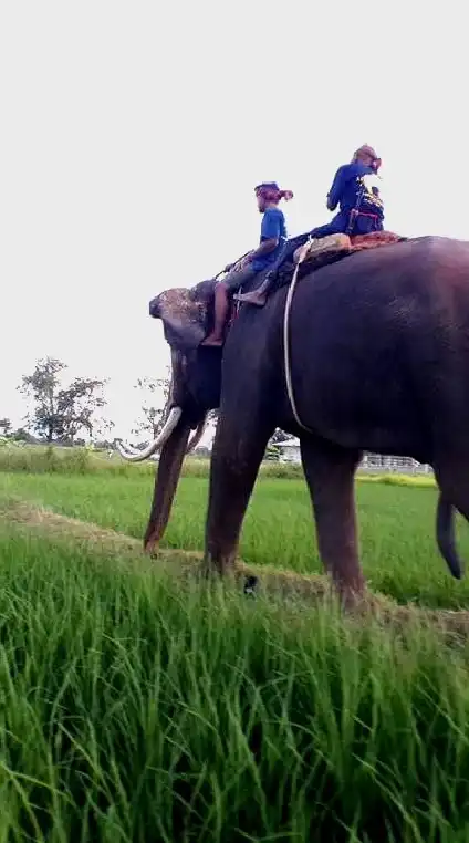 ท่องเที่ยวชุมชนทั่วไทย