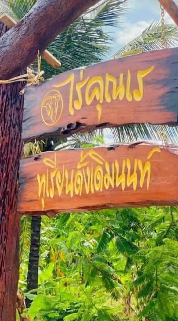 ℂ𝕒𝕗𝕖 𝕕𝕖 ℝ𝕒𝕪 @ไร่คุณเร ทุเรียนดั้งเดิมนนท์