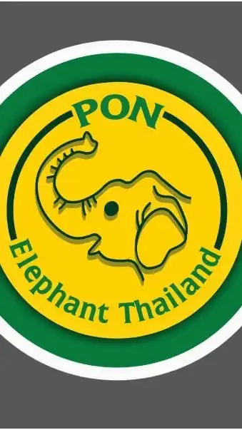 Office PonElephantThailand