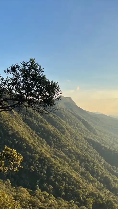 🌳ข้างกองไฟ 🔥 สนทนาตามประสาคนชอบเที่ยว 🫶🏼