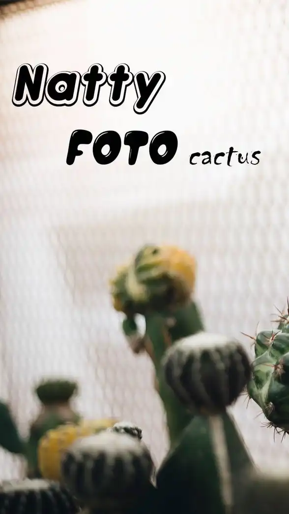 Natty Foto Cactus